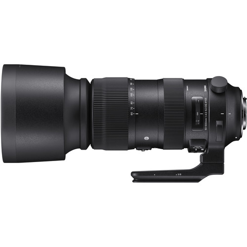 Sigma 60-600mm f/4.5-6.3 DG OS HSM Sports Lens