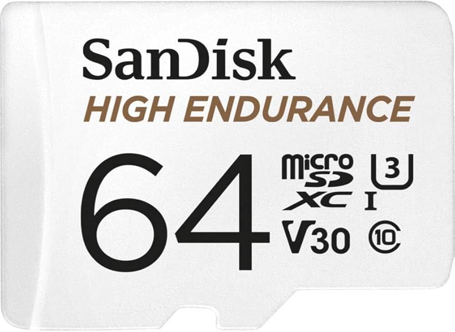 SanDisk High Endurance 64GB microSDXC